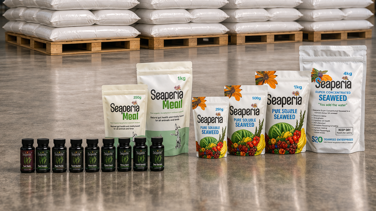 Seaperia seaweed products on a reflective surface with pallets of bags in the background.